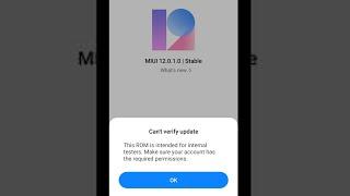 Xiaomi Can't Verify Update ? | Dot SM