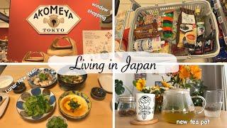 window shopping at AKOMEYA,  make a dinner to remember my roots, new teapot | japan vlog