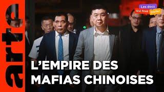 Naissance d'une pieuvre | Triades - La mafia chinoise à la conquête du monde (1/3) | ARTE