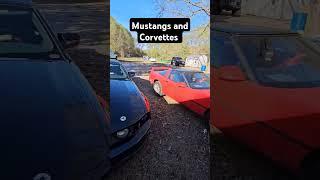 Mustangs and corvettes #car #cars #drive #driver #automobile #automotive #corvette #daily #america