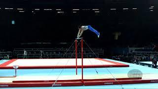 NAGORNYY Nikita (RUS) - 2017 Artistic Worlds, Montréal (CAN) - Qualifications Horizontal Bar