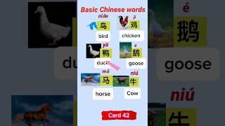 basic Chinese words 42- #chineselanguage#studywithme #mandarin #students #study