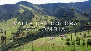 Flying Over Cocora Valley, Colombia | 4K Drone Footage