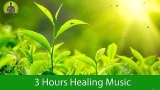 Remove Negative Energy from Your Mind Body & Soul' - Boost Positive Energy Meditation Music