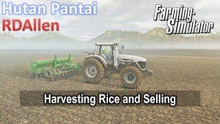 Harvesting Rice and Selling| E19 Hutan Pantai | Farming Simulator 25