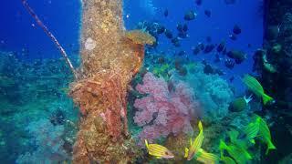 MAURITIUS 2018 WRECK DIVING