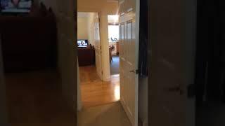 Sclater St flat video2