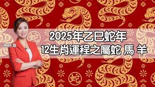 2025年12生肖運程︳生肖屬蛇 馬 羊︳乙巳蛇年運程逐個睇