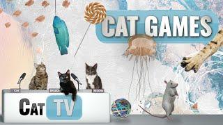 Cat Games | Ultimate Cat TV Compilation Vol 6 | 1 HOUR 