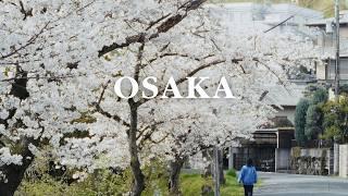 Spring in Osaka  Chasing Cherry Blossoms, Spring Flower Hopping, Hanami | JAPAN VLOG