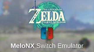 Legend of Zelda Tears of the Kingdom - MeloNX, iOS Switch Emulator (iPad Pro M4)