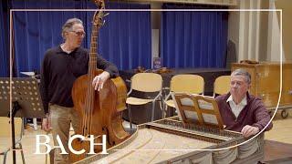 Basso continuo | Netherlands Bach Society