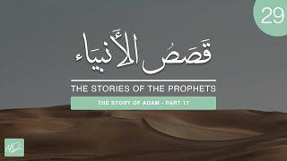 The Stories of The Prophets #29 - The Story of Adam (#17): The Quranic Story of The Two Sons of Adam