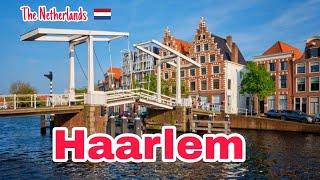 7 Hours Walk in Haarlem City|| Walking Santai.