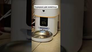Крутая кормушка для животных PETFORT #кормушкадлясобаки #кормушкадляживотных #кормушкадлякота