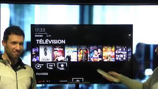 Tuto Freebox Delta : Découvrez comment créer des bouquets TV personnels et renuméroter les chaînes