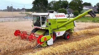 Wintergerst combinen met Claas Dominator 96. Mts. Breedijk Appingedam.