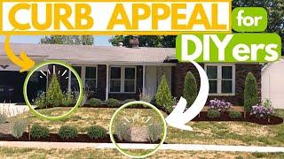 3 DIYer Landscape Designs UNDER $1,000 ( ️ Don't OVERPAY! ️)