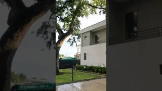 Exploring Tom Brady’s Neighborhood in Tampa, FL