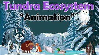 TUNDRA ECOSYSTEM | Biology Animation