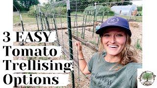 3 EASY Tomato Trellising Options |VLOG|Whispering Willow Farm