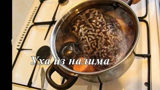 Вкусная уха по рецепту моего деда