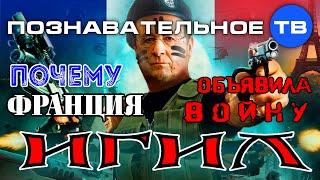 Почему Франция объявила войну ИГИЛ? (Познавательное ТВ, Артём Войтенков)