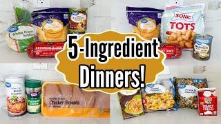 EASY 5 INGREDIENT DINNERS | Affordable & Delicious Simple Family Meals | Julia Pacheco