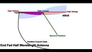 End Fed, Dipole, Off Center Fed Antennas: Which is better?  Jim W6LG Shows a Brief Animation