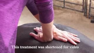 Creative Healing Kelowna Chiropractic Care Animal Chiropractic Horse Adjustment