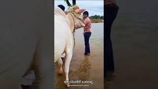 ಕಾಲಭೈರವ ಬಸವಪ್ಪ | Kalabhairaveshwara Basavappa Chikkarasinakere | Sirivantha Studio