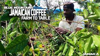 JAMAICAN COFFEE (FARM TO TABLE)!! Ft. DREW BINSKY {BEST COFFEE}