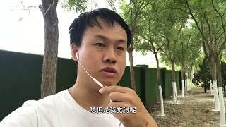 史学虫洞 |  但凡商人都会图平安不会主动挑起战争！揭开鸦片战争的面纱！