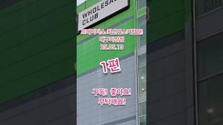 트레이더스위스키가격 폭락?! 지난 주 대비 하락위스키는? 대구 비산점  1편! 2025년 5월 13일 #위스키추천 #위스키행사 #코스트코정보 #트레이더스위스키행사 #