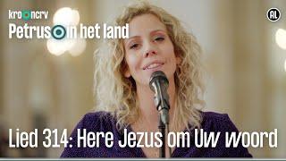 Lied 314: Here Jezus om Uw woord | Petrus in het land | KRO-NCRV