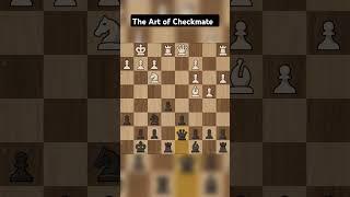 The Art of Checkmate: A Brilliant Finish. #shorts #shortvideo #viralvideo #chess