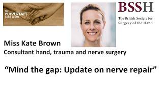 Mind the gap Update in nerve repair Miss Kate Brown