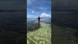 ilha de boipeba, piscina naturais de morere #shorts #brazil