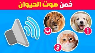 هل يمكنك تخمين صوت الحيوان  تحدي تخمين أصوات الحيوانات 