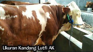 REVIEW KANDANG SAPI SEDERHANA LUTFI AK... kira kira habis dana berapa ya...?!