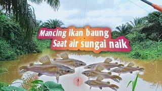 Nunggu IKAN di parit | straek banyak