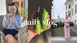 VLOG | Jsem zpátky, překrásná svatba a recept na mirabelkovou marmeládu 