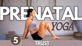 Day 5 - Trust | Prenatal Yoga | Pregnancy Yoga for Back Pain for All Trimesters | Pregnant Stretches