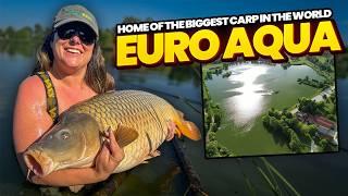 Home Of The BIGGEST CARP IN THE WORLD - Euro Aqua Travel & Fishing Guide