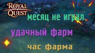 Royal Quest - #44/1 час фарма/Волчьи Ямы