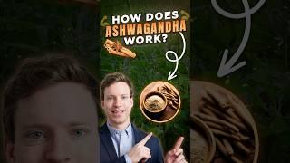 Ashwagandha’s Potential Mechanism of Action