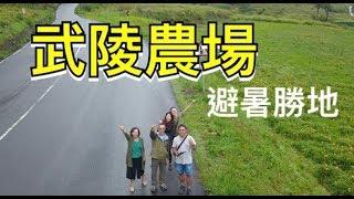 武陵農場｜一泊二食｜出趣走走Travel log｜山繆與喬伊