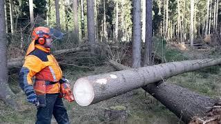 The hard work of the lumberjack and his Husqvarna 560XP chain saw! #lumberjack