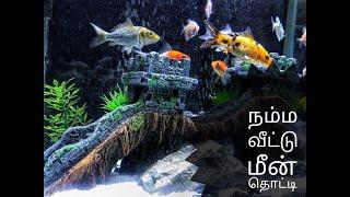 Namma Veetu Fish Tank | Relaxing Aquarium - Easy setup | ***Explore With M@l!m***