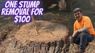 "Earning $100 in No Time: Speed Grinding Stumps for Cash!"